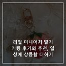 반하다펫 | 리얼 미니어처 딸기 키링 후기와 추천, 일상에 상큼함 더하기