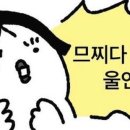 바벨 피트니스 네이버블로그