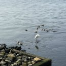 새나루쉼터 이미지