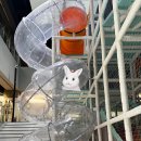 메타시티 대구점 이미지