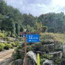 갈기산 포레스트 힐 이미지