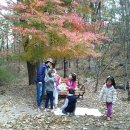 대원유치원 이미지