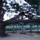 진호국제양궁장 양궁장 이미지