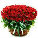 에스텔라 이미지