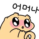 천안기구수족관