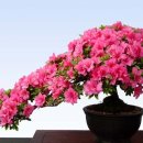 이강재 향우가 한국 철도 시설공단 호남 본부장으로 영전 -- 이미지