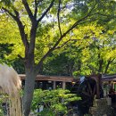 물레방아식당 이미지