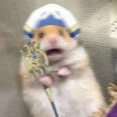 보이스 | [W. 03] 결혼식 사회자 ‘로맨틱보이스’ 계약 후기 ✨🎤