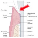 남양주동물병원 이미지