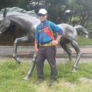 허밍웨이길 이미지