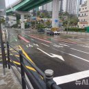 백암한우농장 이미지