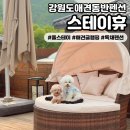 휴마트 (주)남숙 | [스테이휴] 강원도애견동반펜션 홍천 글램핑 추천🏕️