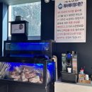 찰돈가