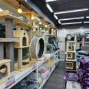 야옹아 멍멍해봐 평거점 이미지