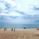 바다정원 이미지