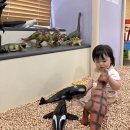 스카이방방