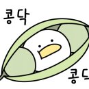유가네닭갈비 영남대점 이미지