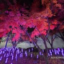 뒷구미 어린이공원 이미지