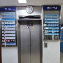 노원 여성 인모 맞춤형 가발 증모술 김호중모 노원점 후기!
