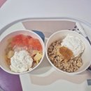 달롱도르 요거트아이스크림 군포점 | 송탄 배달 포장 디저트 '달롱도르' 그릭요거트 솔직후기