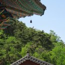 보국사 티스토리