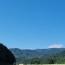 메밀목장 이미지