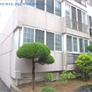 산호동109 이미지