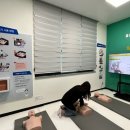 행복완주건강생활지원센터 이미지