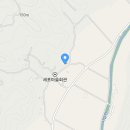 노란담장 이미지