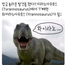 도비, 홍길동이 되다.(feat. 성북천 벚꽃길)