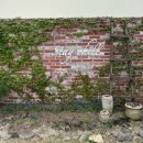 [ 청주 | 스테이오힐 풀빌라 | 청주에서 베트남 맛보기 | 달강천 뷰 103호 후기 ]