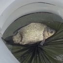 실리곡낚시터 이미지