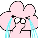 애니카랜드 효성점 이미지