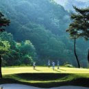 아난티 중앙골프클럽(회원제) 이미지