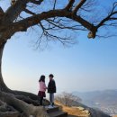 임천 유태사 묘 | 부여 가림성 성흥산성 사랑나무 환혼 드라마촬영지 여행코스 테마파크 백마강 전망대 하늘자전거 이용후기