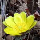 원일초등학교 이미지