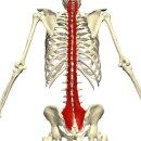 대림헬스 이미지