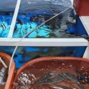 경마루 스테이 이미지