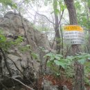 신광면/비학산 이미지