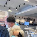 어몽독스 이미지