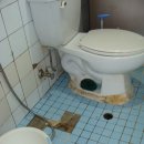 수정로217번길 이미지