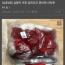 여친 줄려고 준비한 산타복 이미지