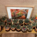 핑크힐병원 이미지