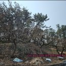 덕촌농장 이미지