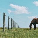 한우축사 이미지