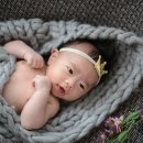 라임오렌지 이미지