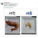 세전