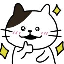 미더베스트 수원점