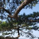 만물농장 이미지