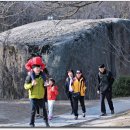 영랑호 범바위 이미지